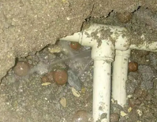 天涯卫生间测漏