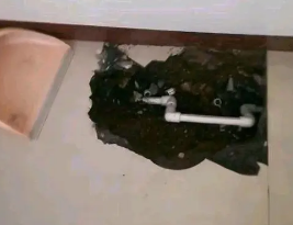 天涯卫生间测漏水多少钱